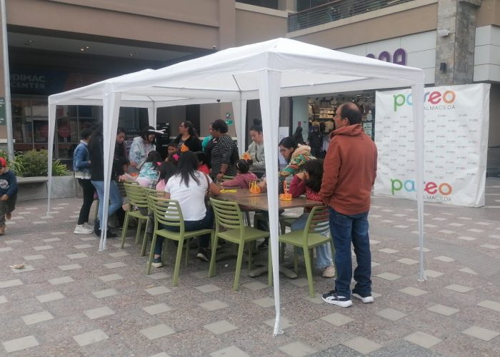 Paseo_Balmaceda_0022